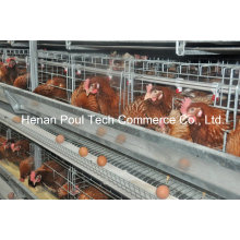 4-5 Tiers H Frame Layer Chicken Cage (Euro Standard)